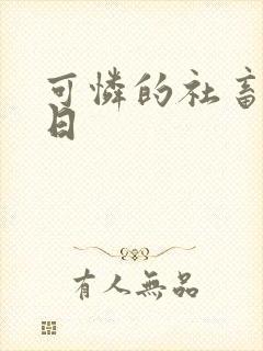 可怜的社畜东度日