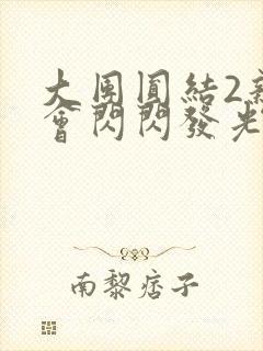 大团圆结2亲情会闪闪发光亲情会2封面