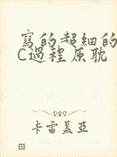 写的超细的多肉C过程原耽