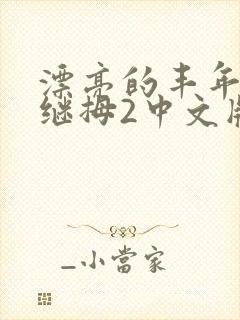漂亮的丰年经的继拇2中文版封面
