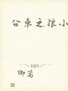 公车之狼小说