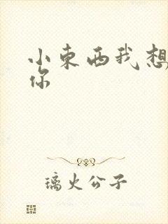 小东西我想弄坏你