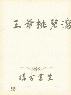 王爷桃儿泻了封面