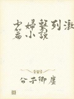 少妇系列激情短篇小说