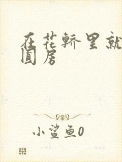 在花轿里就开始圆房封面