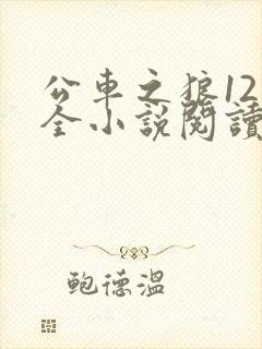 公车之狼12集全小说阅读