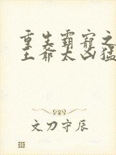 重生霸宠之摄政王爷太凶猛