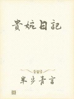 贵婉日记封面