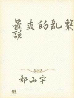 最爽的乱系列小说