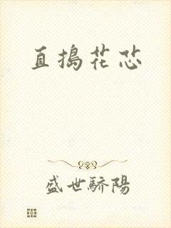 直捣花芯封面