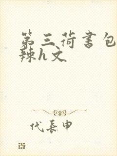 第三荷书包网高辣h文