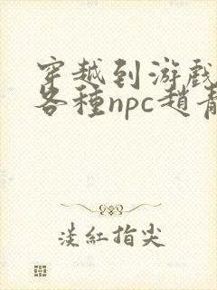 穿越到游戏里和各种npc赵青蔓