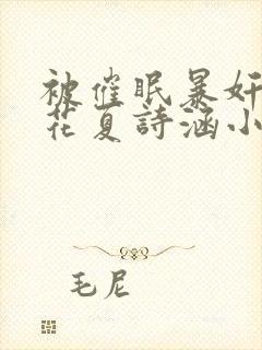 被催眠暴奸的校花夏诗涵小说