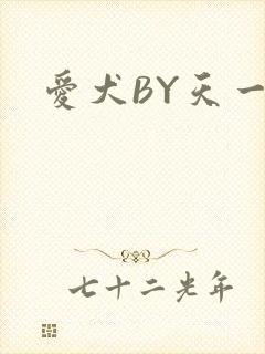 爱犬BY天一封面