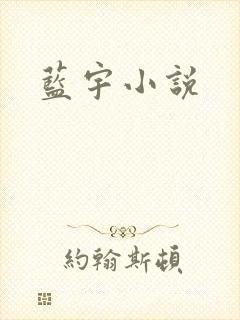 蓝宇小说