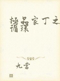 极品家丁之因果循环