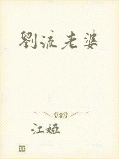 刘流老婆