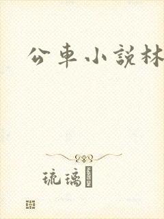 公车小说林蔓蔓