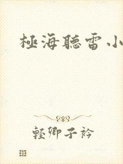 极海听雷小说封面