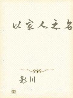 以家人之名小说