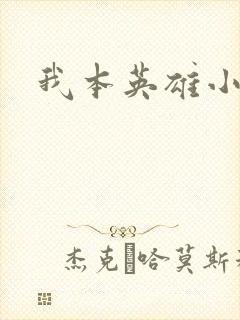 我本英雄小说封面