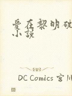 爱在黎明破晓前小说