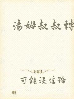 汤姆叔叔转接口