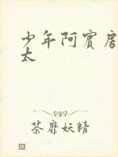 少年阿宾房东太太封面