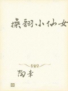 操翻小仙女封面