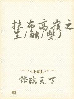 抹布高岭之花(生/触/双)封面