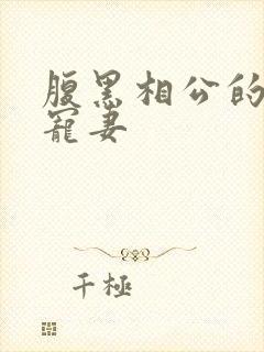 腹黑相公的庶女宠妻