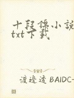 十段锦小说全本txt下载