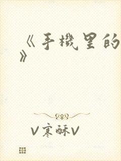 《手机里的秘密》封面