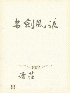 名剑风流封面