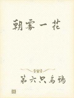 朝雾一花封面