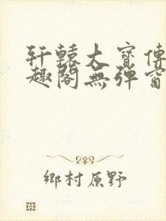 轩辕大宝传奇笔趣阁无弹窗