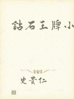 钻石王牌小说封面