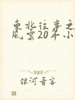 东北往事之黑道风云20年小说