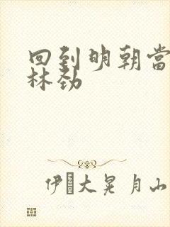 回到明朝当王爷林劲
