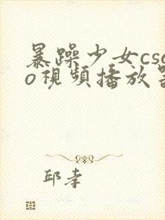 暴躁少女csgo视频播放器推荐