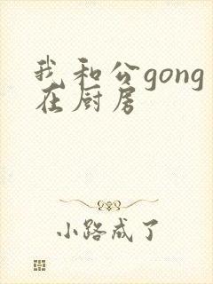 我和公gong在厨房封面