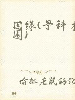 因缘(骨科 校园)封面