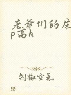 老爷们的床奴np高h