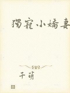 独宠小娇妻