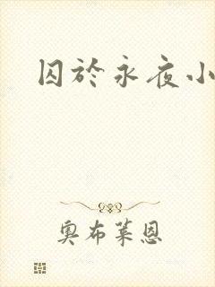 囚于永夜小说