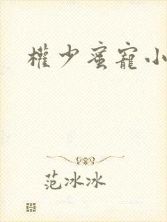 权少蜜宠小娇妻