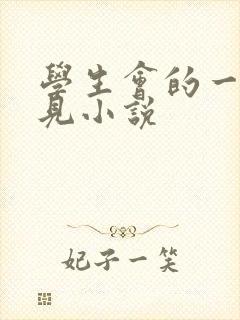 学生会的一己之见小说