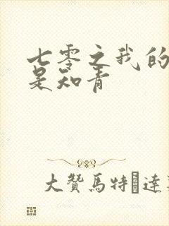 七零之我的老婆是知青封面