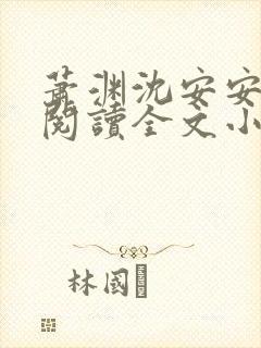 萧渊沈安安免费阅读全文小说