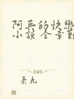 阿兵的快乐生活小说 全章节阅读免费